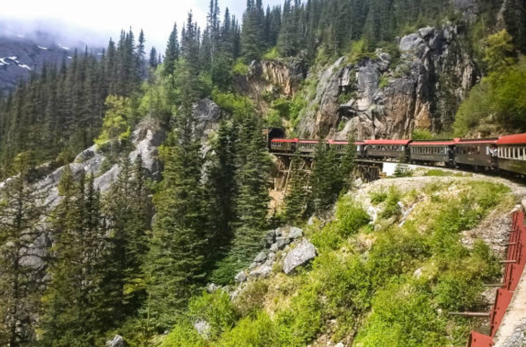 The vintage White Pass and Yukon Route train with iconic red roofs winds through the steep, forested mountains of Skagway, Alaska
